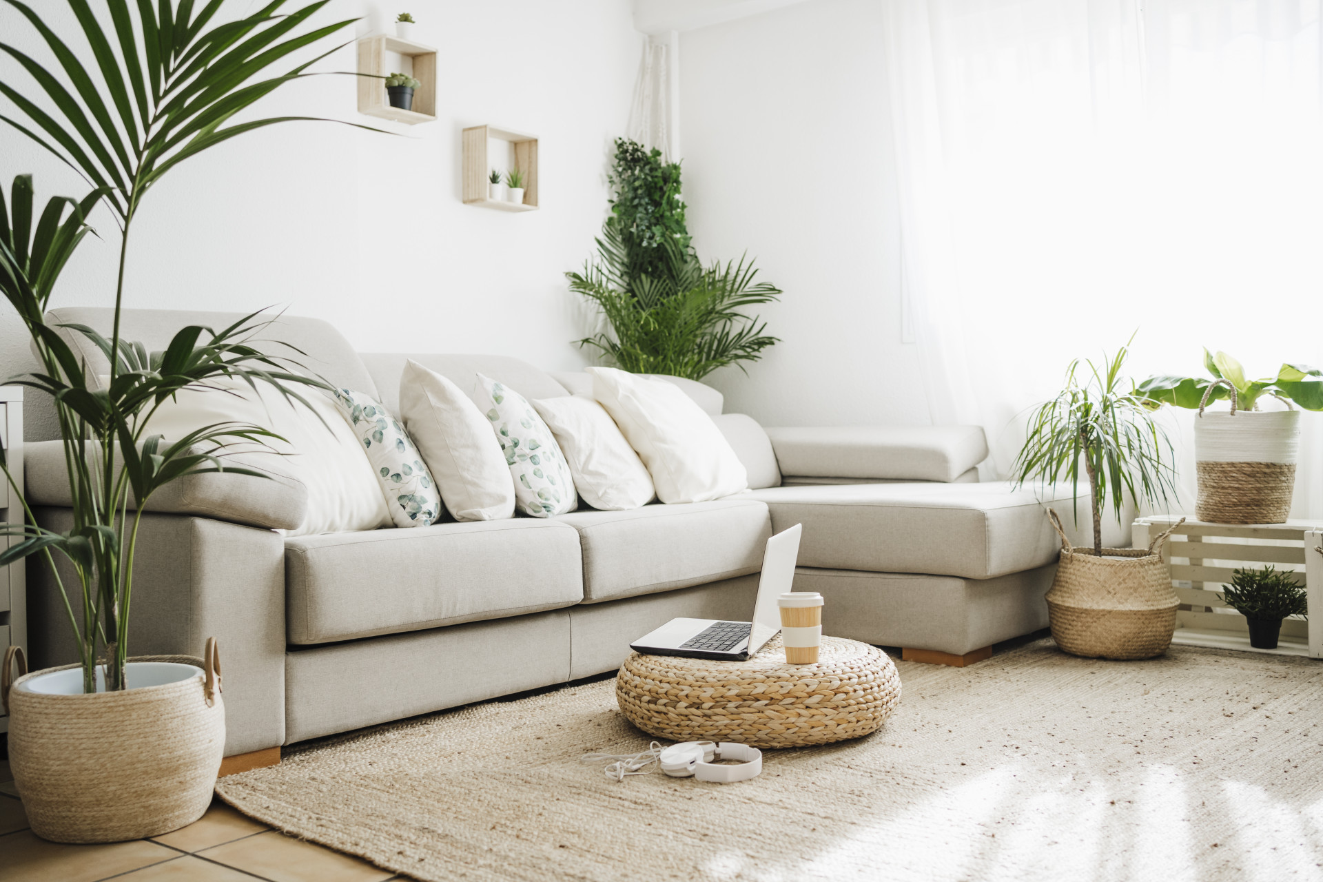 메인 비주얼 이미지